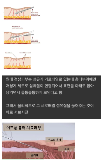 화면 캡처 2026-03-02 015154.png