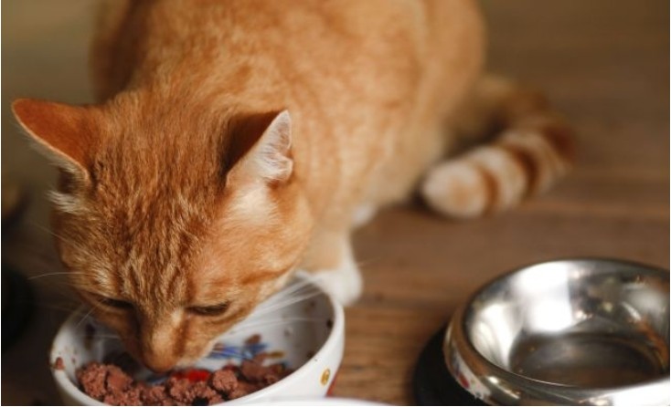 Screenshot 2026-03-04 at 01.52.05.JPG