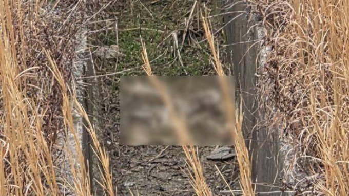 Screenshot 2026-03-15 at 18.36.28.JPG