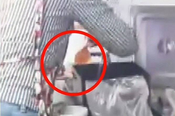 Screenshot 2026-03-20 at 01.35.02.JPG