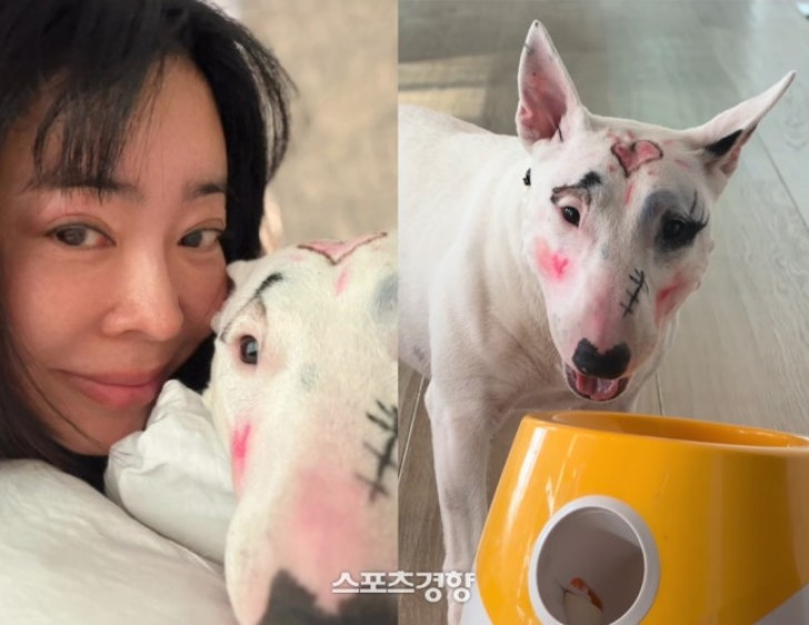 Screenshot 2026-03-26 at 19.45.59.JPG