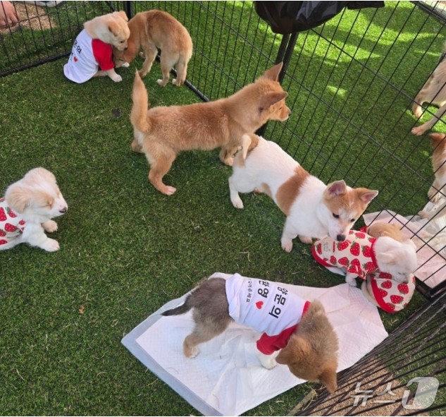 Screenshot 2026-03-31 at 00.35.10.JPG