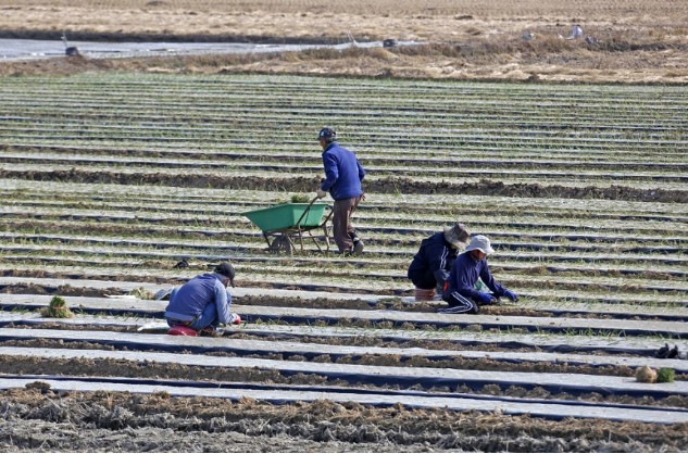 Screenshot 2026-03-31 at 02.08.15.JPG