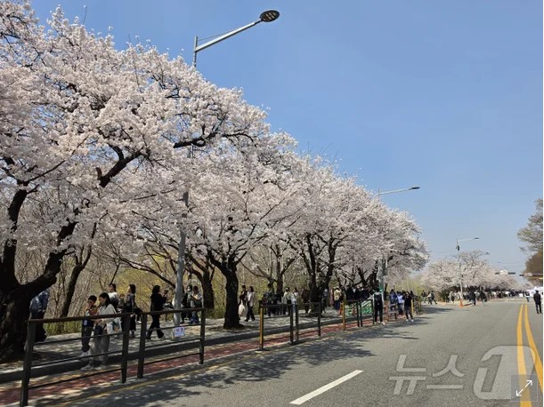 Screenshot 2026-04-03 at 01.33.13.JPG